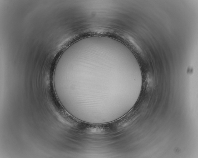 X0000090780500200708172131