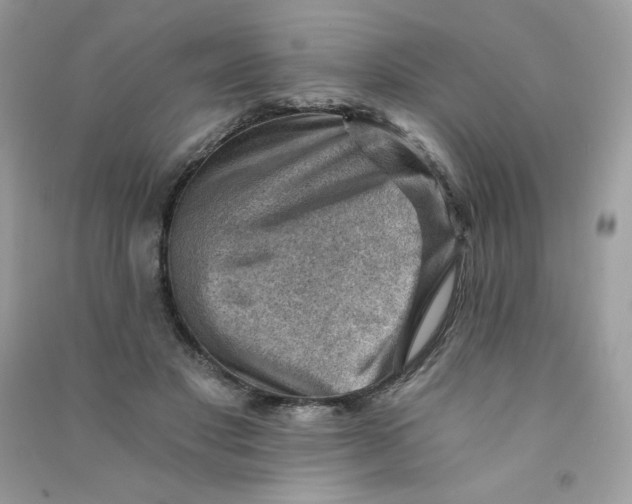 X0000090780501200708172131