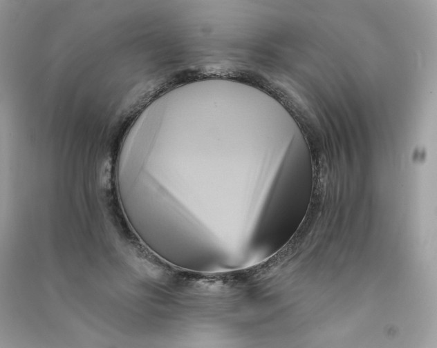 X0000090780502200708172131