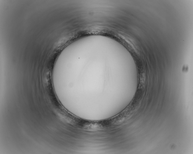X0000090780503200708172131
