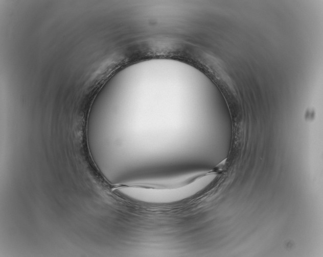 X0000090780505200708172131
