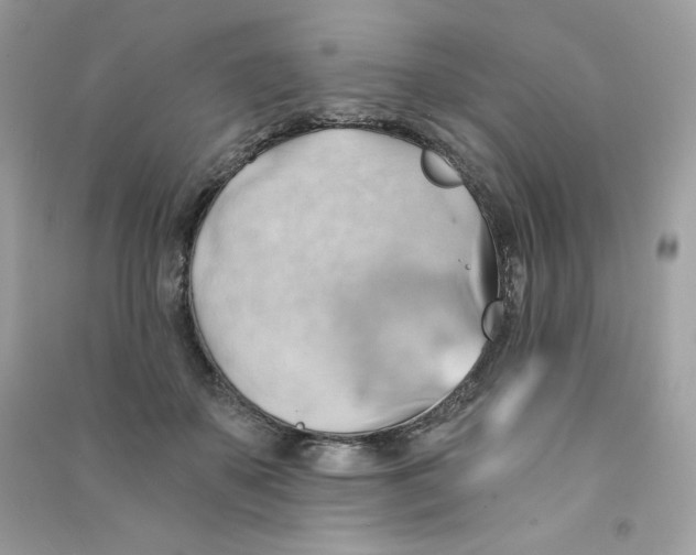 X0000090780507200708172131