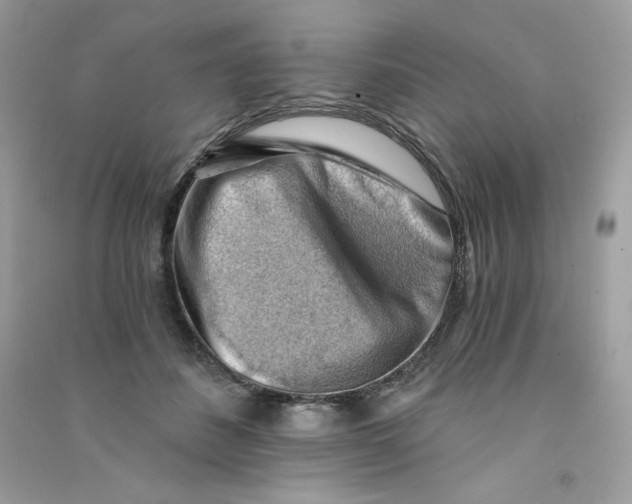 X0000090780508200708172131