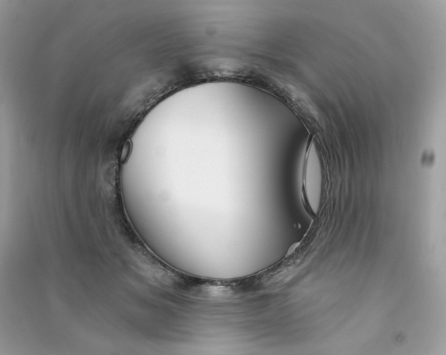 X0000090780509200708172130
