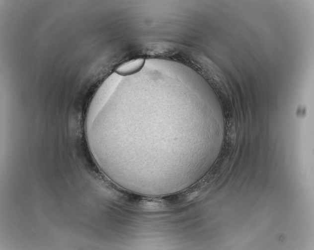 X0000090780510200708172130