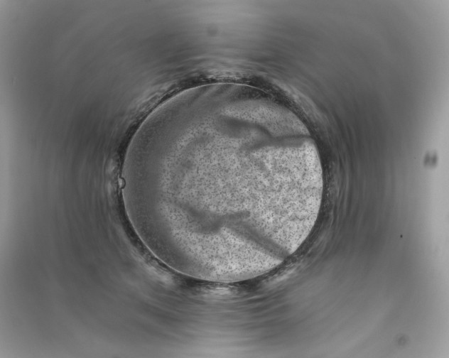 X0000090780513200708172130