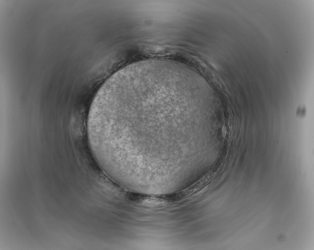 X0000090780515200708172130