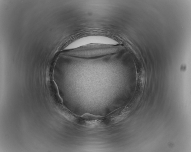 X0000090780516200708172130