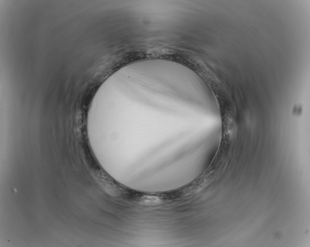 X0000090780519200708172130