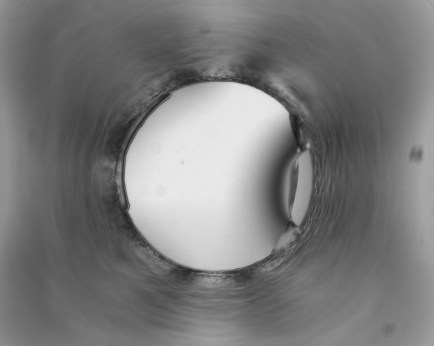 X0000090780521200708172130