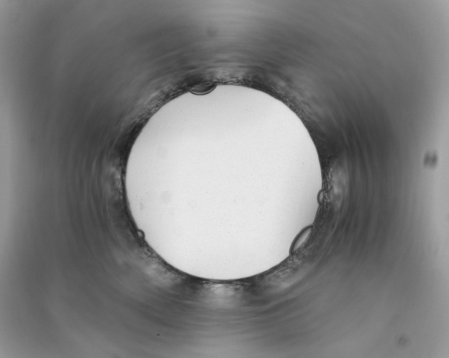 X0000090780522200708172130