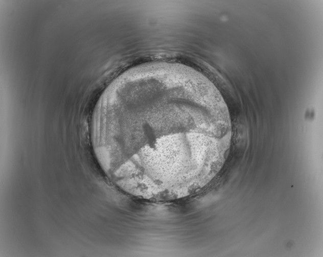 X0000090780523200708172130