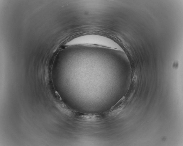 X0000090780524200708172130