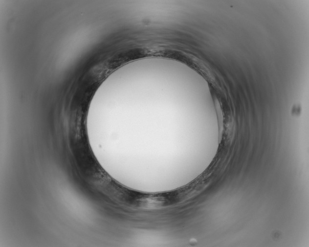 X0000090780525200708172130
