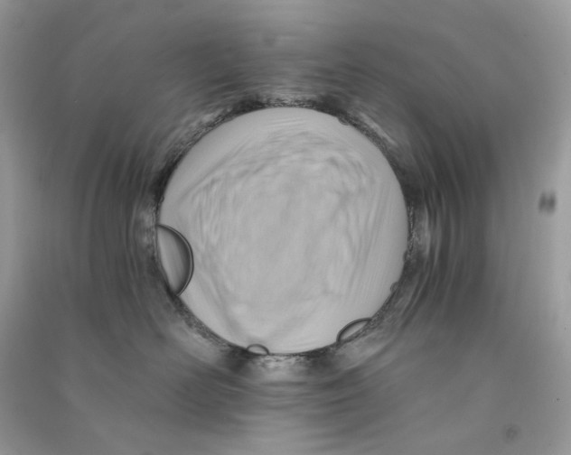 X0000090780526200708172130