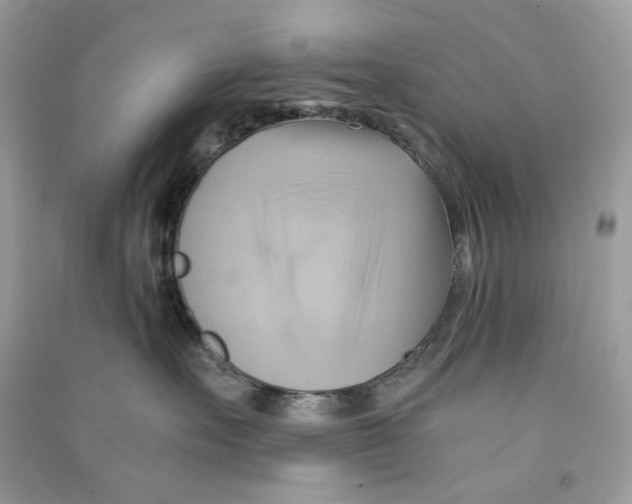 X0000090780527200708172130
