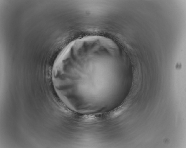 X0000090780528200708172130