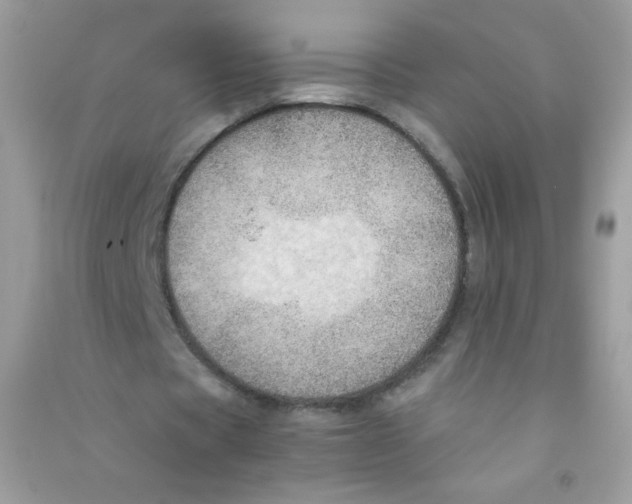 X0000090780529200708172130