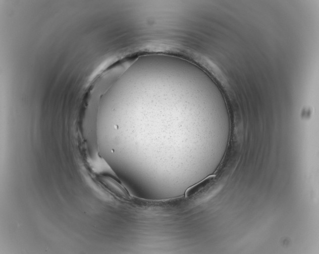 X0000090780530200708172130
