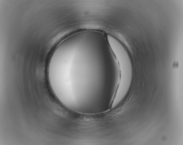 X0000090780531200708172130