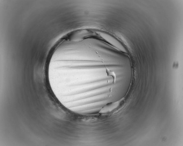 X0000090780532200708172130