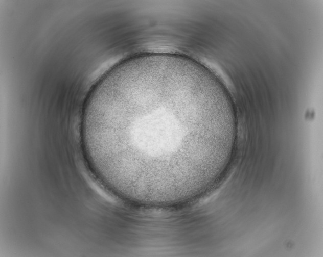 X0000090780533200708172130
