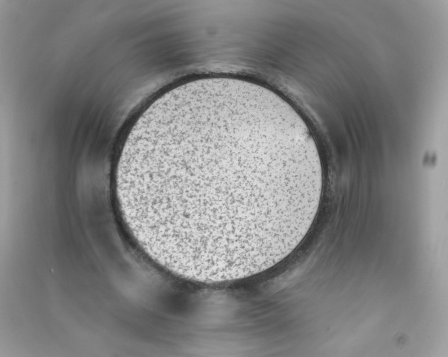 X0000090780534200708172130