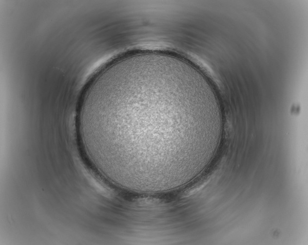 X0000090780535200708172130