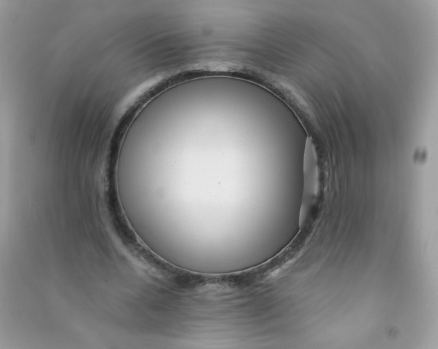 X0000090780536200708172130
