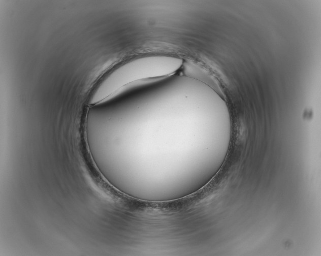 X0000090780538200708172130