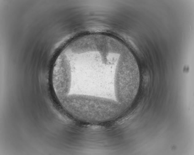 X0000090780539200708172130