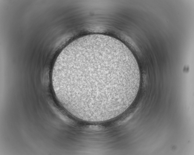 X0000090780541200708172130