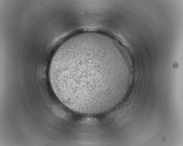 X0000090780543200708172130