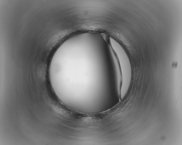 X0000090780544200708172130