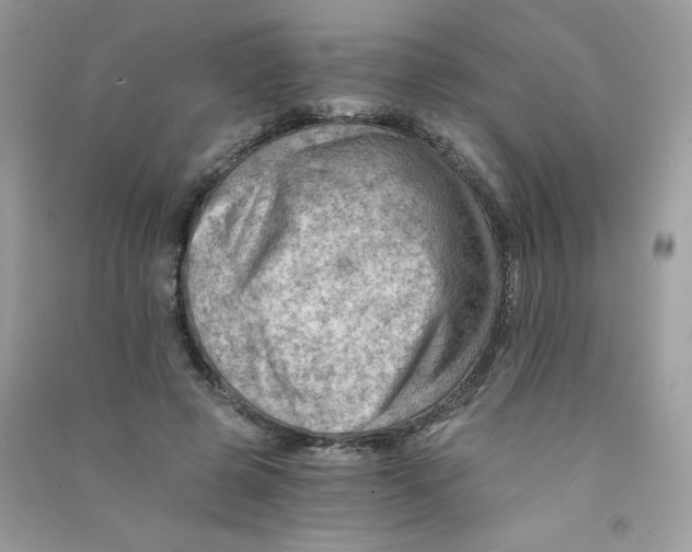 X0000090780545200708172130