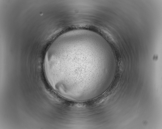X0000090780546200708172130