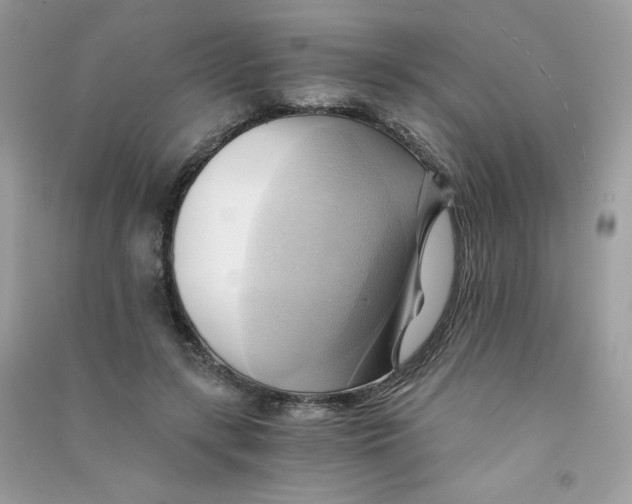 X0000090780547200708172130