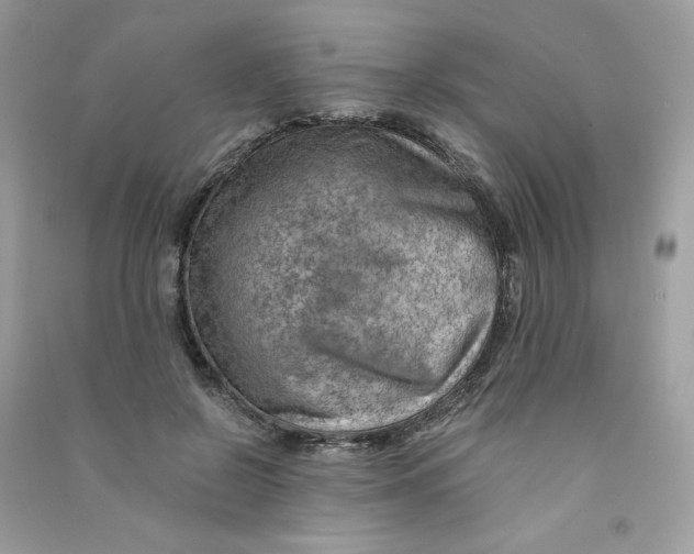 X0000090780550200708172130
