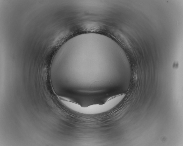 X0000090780551200708172130