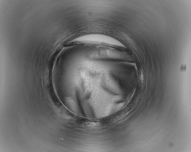 X0000090780552200708172130