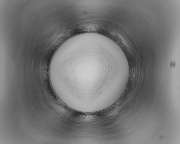 X0000090780553200708172130