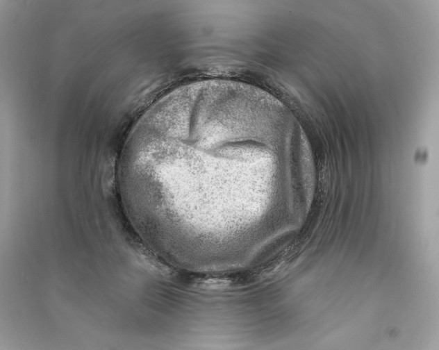 X0000090780554200708172130