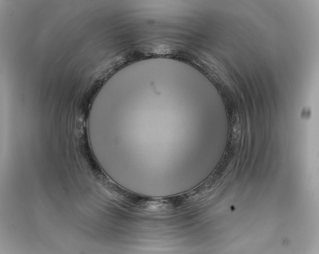X0000090780555200708172130