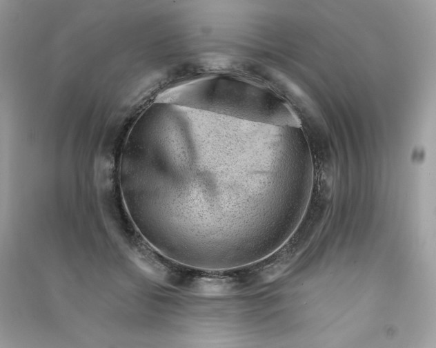 X0000090780556200708172130
