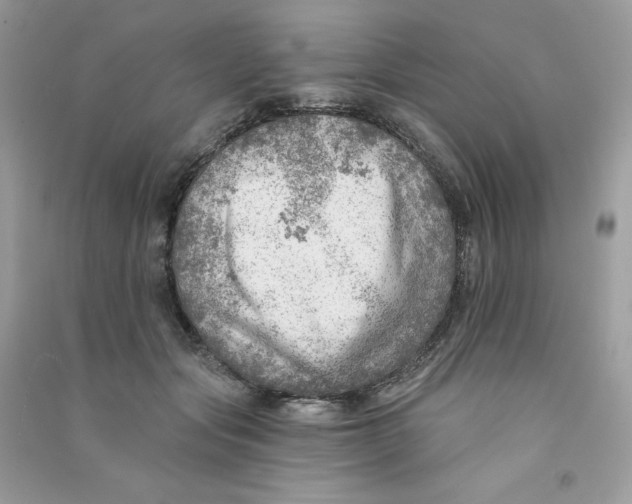 X0000090780557200708172130