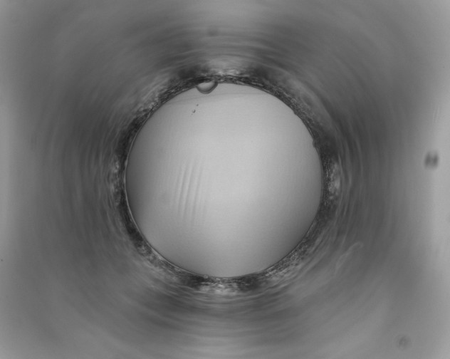X0000090780559200708172130