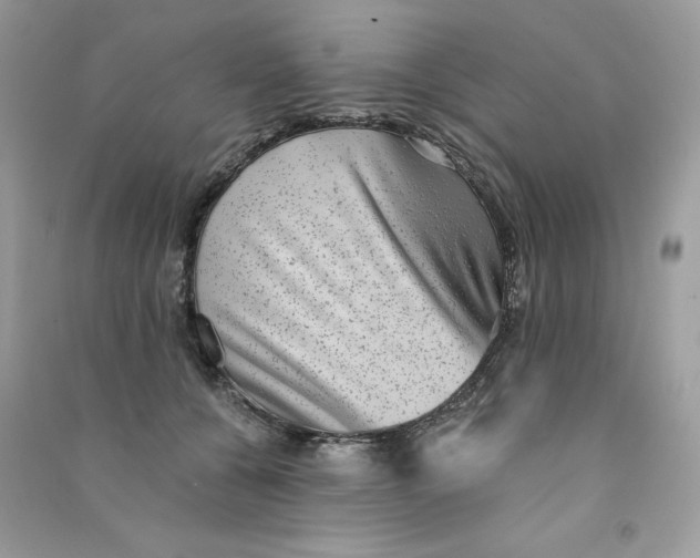 X0000090780560200708172130
