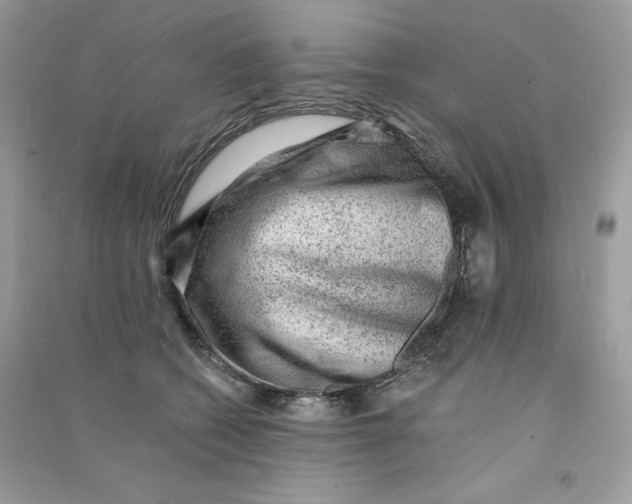 X0000090780562200708172130