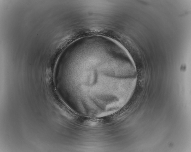 X0000090780563200708172130