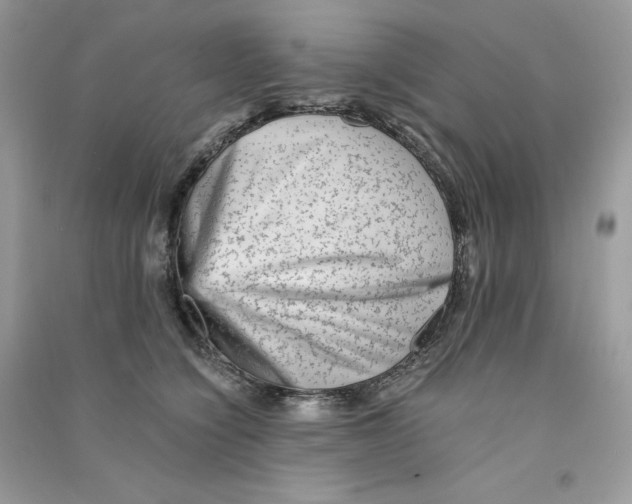 X0000090780564200708172130